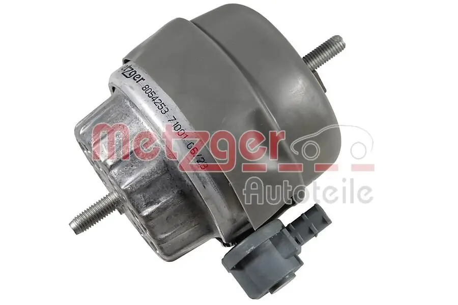 Lagerung, Motor METZGER 8054253