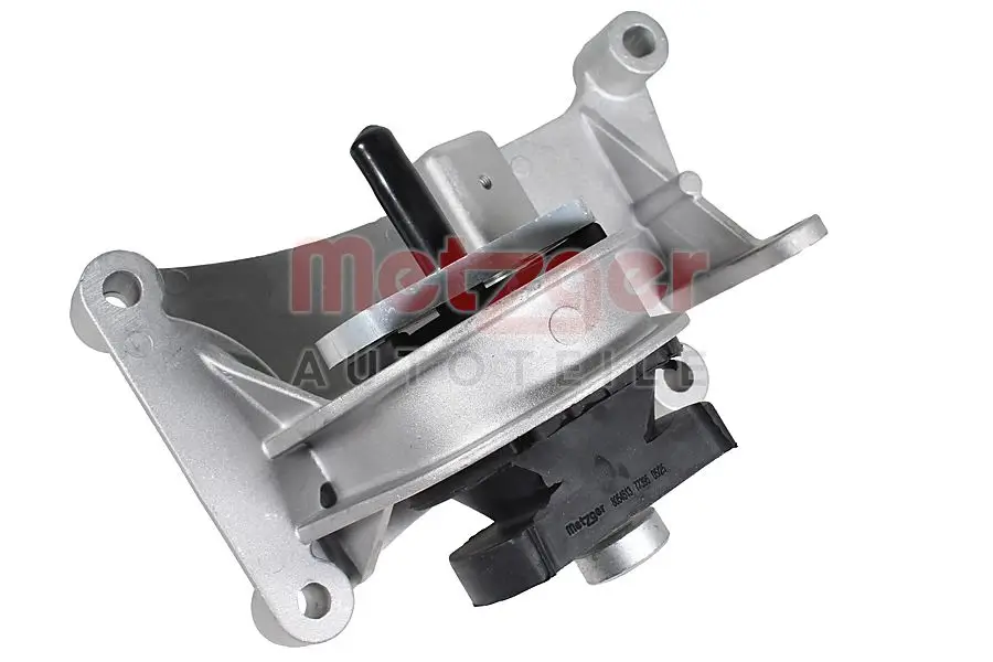 Lagerung, Motor rechts METZGER AUTOTEILE 8054513