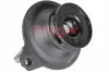 Lagerung, Motor getriebeseitig hinten METZGER AUTOTEILE 8054535