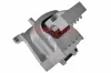 Lagerung, Motor rechts METZGER AUTOTEILE 8054597