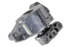 Lagerung, Motor rechts METZGER AUTOTEILE 8054646
