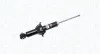 Stoßdämpfer Hinterachse MAGNETI MARELLI 351625070000