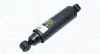 Stoßdämpfer Hinterachse MAGNETI MARELLI 351886080000