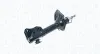 Stoßdämpfer Vorderachse MAGNETI MARELLI 354962070000 Bild Stoßdämpfer Vorderachse MAGNETI MARELLI 354962070000