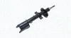 Stoßdämpfer Hinterachse MAGNETI MARELLI 355602070000 Bild Stoßdämpfer Hinterachse MAGNETI MARELLI 355602070000