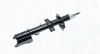 Sto&szlig;d&auml;mpfer Hinterachse MAGNETI MARELLI 355796070000