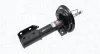 Stoßdämpfer Vorderachse MAGNETI MARELLI 357221070000 Bild Stoßdämpfer Vorderachse MAGNETI MARELLI 357221070000