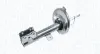 Stoßdämpfer Vorderachse links MAGNETI MARELLI 357231070200 Bild Stoßdämpfer Vorderachse links MAGNETI MARELLI 357231070200