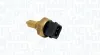 Sensor, Öltemperatur MAGNETI MARELLI 171916011130