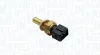 Sensor, Öltemperatur MAGNETI MARELLI 171916911150
