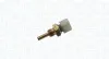 Sensor, Kühlmitteltemperatur MAGNETI MARELLI 171916011240