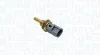 Sensor, Kühlmitteltemperatur MAGNETI MARELLI 171916011270