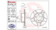 Bremsscheibe Vorderachse MAGNETI MARELLI 360406004705