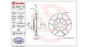 Bremsscheibe MAGNETI MARELLI 360406021905