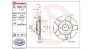 Bremsscheibe MAGNETI MARELLI 360406026005