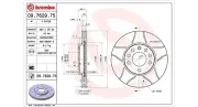 Bremsscheibe MAGNETI MARELLI 360406038805