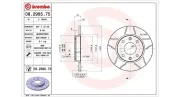 Bremsscheibe MAGNETI MARELLI 360406040405