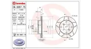 Bremsscheibe Vorderachse MAGNETI MARELLI 360406046005