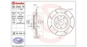 Bremsscheibe Hinterachse MAGNETI MARELLI 360406099505