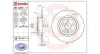 Bremsscheibe Hinterachse MAGNETI MARELLI 360406138801