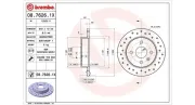 Bremsscheibe Hinterachse MAGNETI MARELLI 360406038902