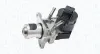 AGR-Ventil MAGNETI MARELLI 571822112187