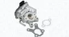 AGR-Ventil MAGNETI MARELLI 571822112322
