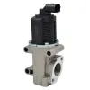AGR-Ventil MAGNETI MARELLI 571822112007