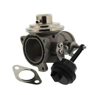 AGR-Ventil MAGNETI MARELLI 571822112046