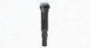 Zündspule MAGNETI MARELLI 060717188012