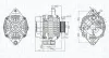 Generator 12 V MAGNETI MARELLI 063736439010