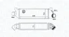 Ladeluftkühler MAGNETI MARELLI 351319204950 Bild Ladeluftkühler MAGNETI MARELLI 351319204950