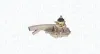 Wasserpumpe, Motorkühlung MAGNETI MARELLI 350981509000 Bild Wasserpumpe, Motorkühlung MAGNETI MARELLI 350981509000