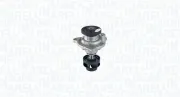 Wasserpumpe, Motorkühlung MAGNETI MARELLI 350982018000
