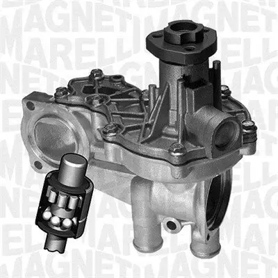 Wasserpumpe, Motorkühlung MAGNETI MARELLI 350982080000