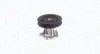 Wasserpumpe, Motorkühlung MAGNETI MARELLI 350984093000