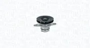Wasserpumpe, Motorkühlung MAGNETI MARELLI 350984186000