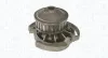 Wasserpumpe, Motorkühlung MAGNETI MARELLI 350984253000 Bild Wasserpumpe, Motorkühlung MAGNETI MARELLI 350984253000