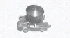 Wasserpumpe, Motorkühlung MAGNETI MARELLI 352316170609