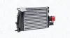 Ladeluftkühler MAGNETI MARELLI 351319205990