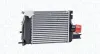 Ladeluftkühler MAGNETI MARELLI 351319206040