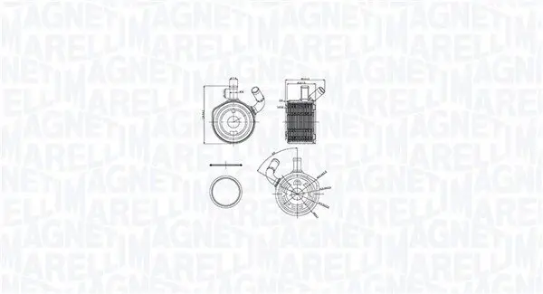 Ölkühler, Motoröl MAGNETI MARELLI 350300002900
