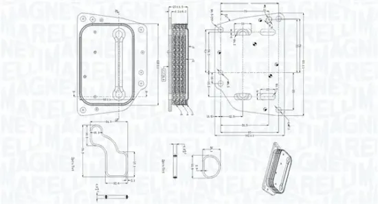 Ölkühler, Motoröl MAGNETI MARELLI 350300005400 Bild Ölkühler, Motoröl MAGNETI MARELLI 350300005400