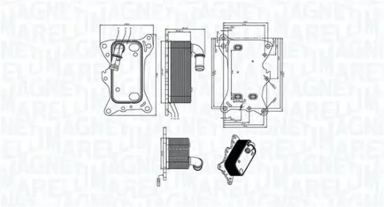 Ölkühler, Motoröl MAGNETI MARELLI 350300006300 Bild Ölkühler, Motoröl MAGNETI MARELLI 350300006300