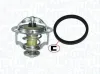 Thermostat, Kühlmittel MAGNETI MARELLI 352317100550
