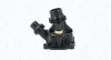Thermostat, K&uuml;hlmittel MAGNETI MARELLI 352317005690