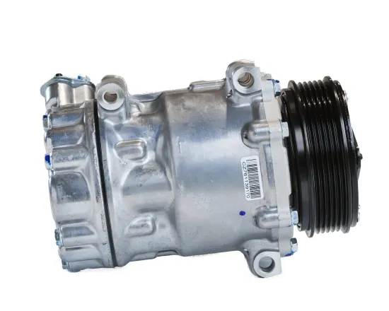 Kompressor, Klimaanlage 12 V WAECO 8880100598 Bild Kompressor, Klimaanlage 12 V WAECO 8880100598