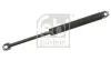 Gasfeder, Koffer-/Laderaum beidseitig FEBI BILSTEIN 01785