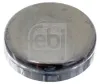 Froststopfen FEBI BILSTEIN 02543