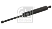 Gasfeder, Koffer-/Laderaum beidseitig FEBI BILSTEIN 03913